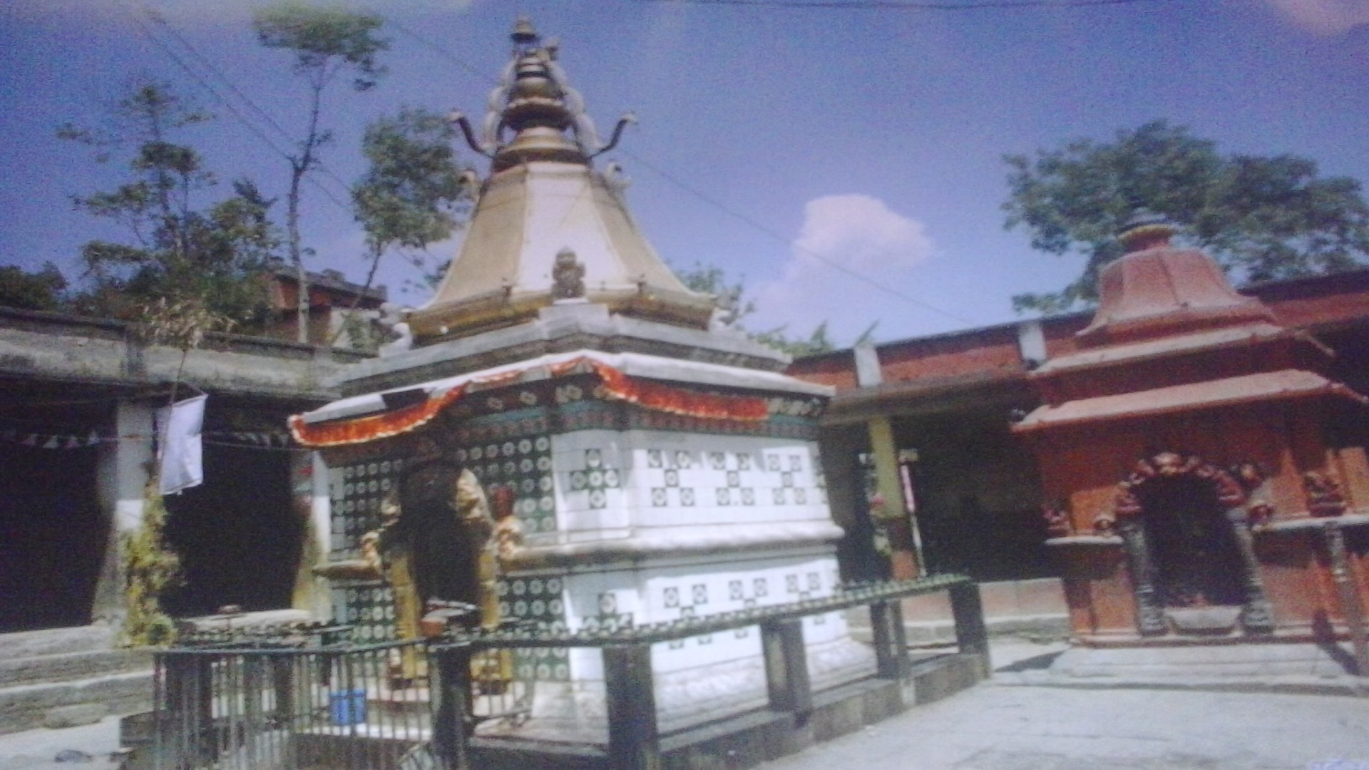 Card image cap